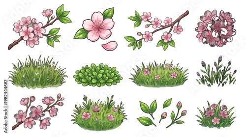 Collection of pink flowers and green grass illustrations