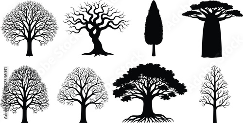 Set of diverse tree silhouettes including oak baobab cypress and leafless winter branches for landscape design nature environment and outdoor forest concepts