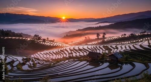 Sunrise over terraced rice fields creating a serene landscape with morning mist