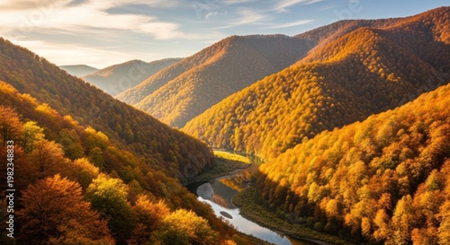 Autumn mountain landscape valley view with warm sunlight and golden trees