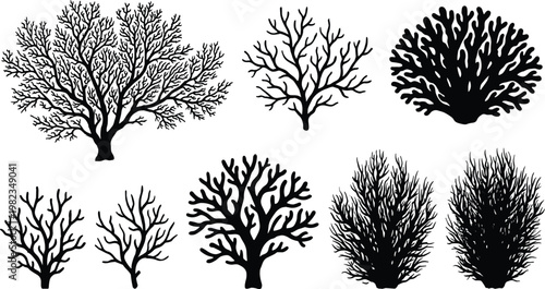 Set of Sea Coral and Marine Plant Silhouettes Featuring Various Underwater Reef Species Icons for Tropical Nature Ocean Life and Aquarium Design Projects