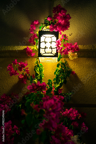 Decorative Garden Lantern With Vibrant Pink Bougainvillea Flowers At Night