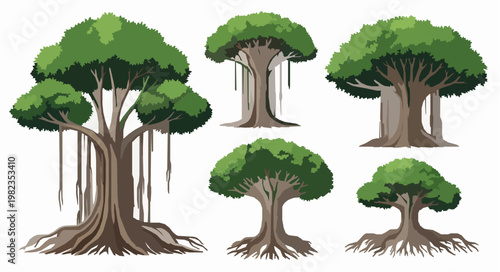 Tableau sur toile Banyan tree roots vector illustration set nature EPS10 isolated on white