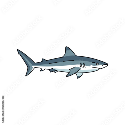 Gray shark swimming in ocean water.