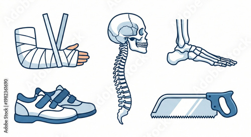 Medical Illustration of Human Anatomy and Orthopedic Supplies Including a Cast, Skeleton, and Shoe