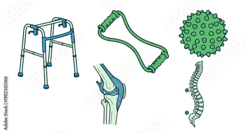 Collection of physical therapy and rehabilitation equipment for medical and wellness purposes