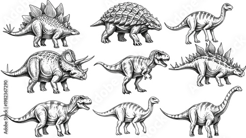 Detailed Black and White Prehistoric Dinosaur Engraving Vector Set with T-Rex and Triceratops for Educational Science and Natural History Graphic Design