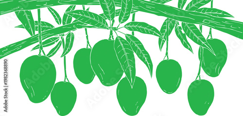 Green Mango Fruits Hanging on Tree Branch Silhouette Vector Illustration Isolated on White Background