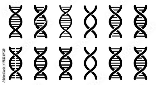 DNA helix icon set with 12 vector elements, black genetic spiral symbols for science and medicine, minimalist biotechnology double helix illustrations