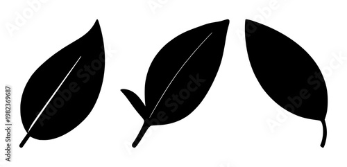 Leaf icon set with solid black line on white background featuring biodegradable, checkmark, leaf icon with environmental and sustainability