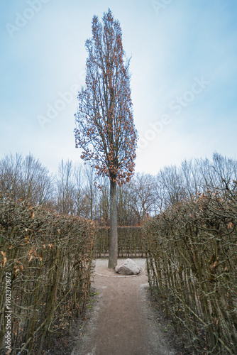 Small Garden Labyrinth with Dry Winter Branches and Gravel Paths in a Public Park During March Early Spring Landscape Architecture and Outdoor Recreational Area