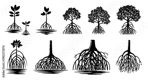 Stylized mangrove tree icon black white vector set EPS10 isolated on white