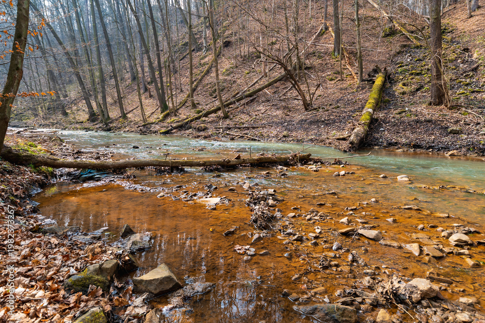 Fototapeta premium Shallow Mountain River Flowing Over Stones and Pebbles with Fallen Trees and Driftwood on Banks Scenic Alpine Stream in Wild Nature Under Overcast Sky Landscape