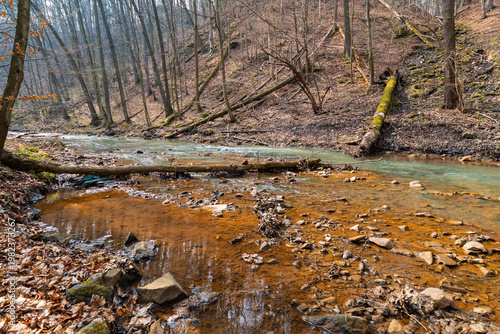 Shallow Mountain River Flowing Over Stones and Pebbles with Fallen Trees and Driftwood on Banks Scenic Alpine Stream in Wild Nature Under Overcast Sky Landscape