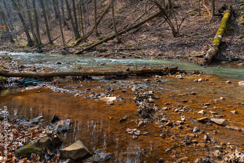 Shallow Mountain River Flowing Over Stones and Pebbles with Fallen Trees and Driftwood on Banks Scenic Alpine Stream in Wild Nature Under Overcast Sky Landscape