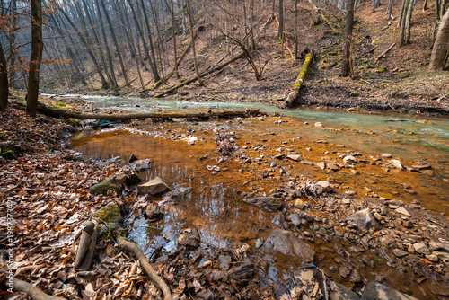 Shallow Mountain River Flowing Over Stones and Pebbles with Fallen Trees and Driftwood on Banks Scenic Alpine Stream in Wild Nature Under Overcast Sky Landscape