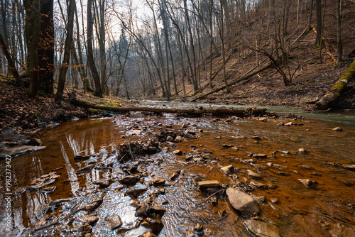 Shallow Mountain River Flowing Over Stones and Pebbles with Fallen Trees and Driftwood on Banks Scenic Alpine Stream in Wild Nature Under Overcast Sky Landscape