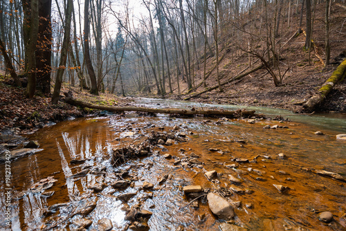 Shallow Mountain River Flowing Over Stones and Pebbles with Fallen Trees and Driftwood on Banks Scenic Alpine Stream in Wild Nature Under Overcast Sky Landscape