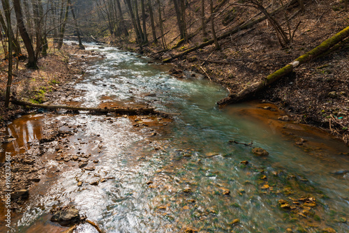 Shallow Mountain River Flowing Over Stones and Pebbles with Fallen Trees and Driftwood on Banks Scenic Alpine Stream in Wild Nature Under Overcast Sky Landscape