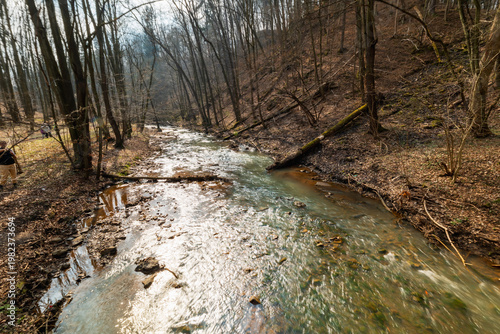 Shallow Mountain River Flowing Over Stones and Pebbles with Fallen Trees and Driftwood on Banks Scenic Alpine Stream in Wild Nature Under Overcast Sky Landscape
