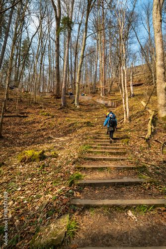 Hikers Ascending Steep Wooden Stairs on a Rugged Mountain Trail People Trekking Up a Rocky Alpine Slope Toward the Summit in a Scenic Wilderness Landscape