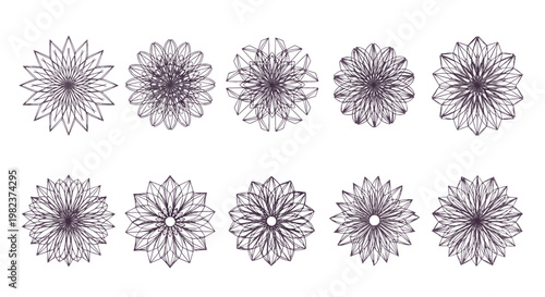 Collection of detailed purple virus or bacteria illustrations