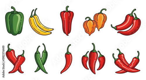 A diverse array of colorful chili and bell peppers showcasing different shapes and spice levels.