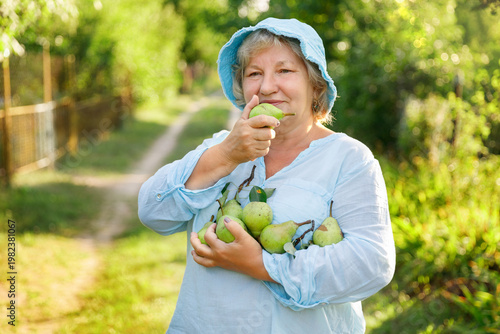Cuadro en lienzo A cheerful elderly woman in a blue hat holding a handful of ripe green pears and smelling one