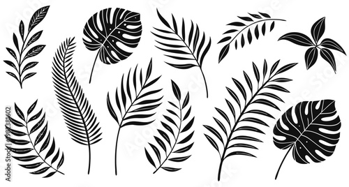  Minimalist branch and leaf silhouettes graphics