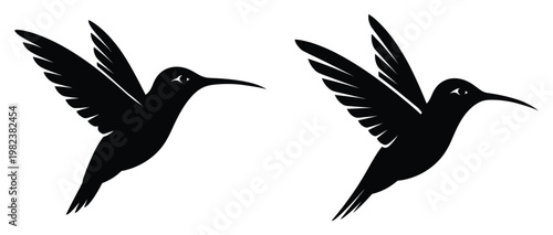 Two hummingbirds in flight a silhouette illustration