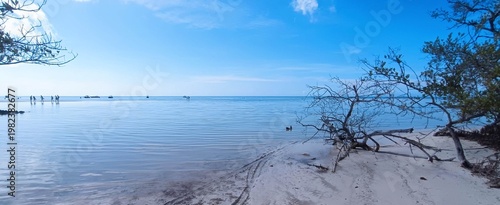 Fotografija Blue contrast in a tropical climate