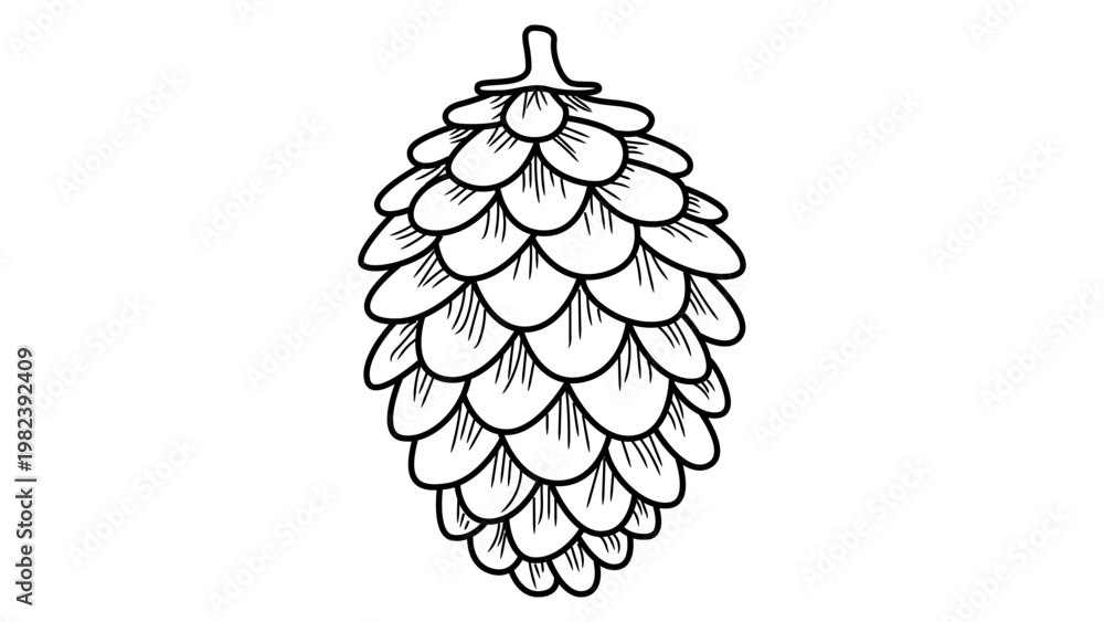 Obraz premium Detailed Pine Cone Minimalist Black Line Vector Icon on White Background. Hand-Drawn Nature Illustration with Editable Stroke for Graphic Design, Forest Element, Scalable SVG Outline Art Element.