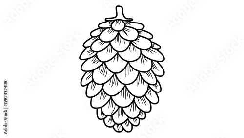 Detailed Pine Cone Minimalist Black Line Vector Icon on White Background. Hand-Drawn Nature Illustration with Editable Stroke for Graphic Design, Forest Element, Scalable SVG Outline Art Element.