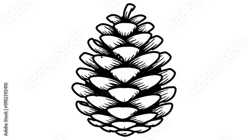 Minimalist black line vector icon of a detailed pine cone on a white background. Hand-drawn illustration of a conifer seed for forest, nature, and winter holiday design projects. Scalable SVG.