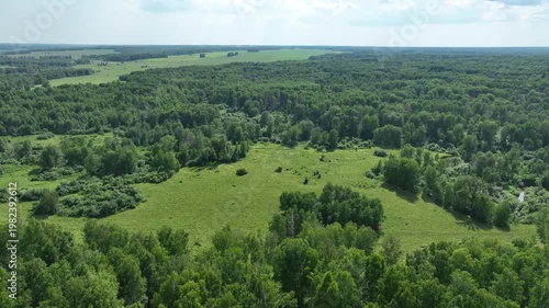 Drone view of countryside. Fields and forests in summer. 