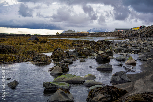 Photos Rocky tidal shoreline with moss covered stones and coastal village in Akranes, I