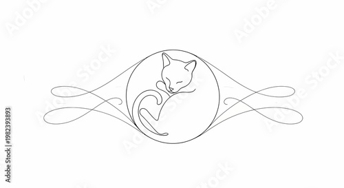 Cat curled up in a heart.