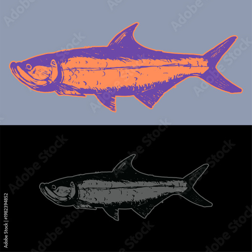 tarpons fish stunning handdrawing artstyle 