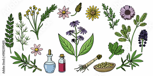 Collection of Hand Drawn Medicinal Herbs and Essential Oils
