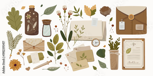 Aesthetic Botanical Stationery and Vintage Nature Elements Illustration Set