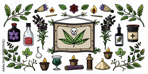 Set of hand drawn mystical witchcraft and herbalism elements