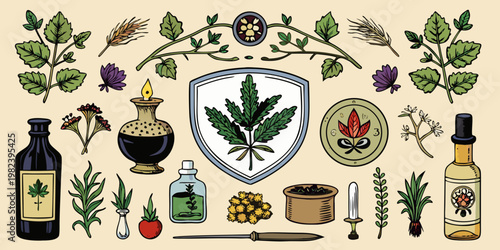 Vintage hand drawn herbalism and apothecary illustration set