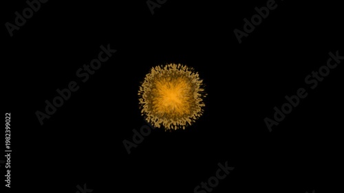 glitter sparkle shine stars trail burst, luxury golden bokeh light dust, magical glowing particles swirl, seamless loop animation, festive shining abstract background, black screen effect 4k video