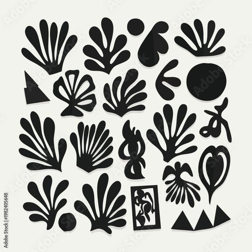 Black and White Hand Drawn Botanical and Floral Illustration Collection