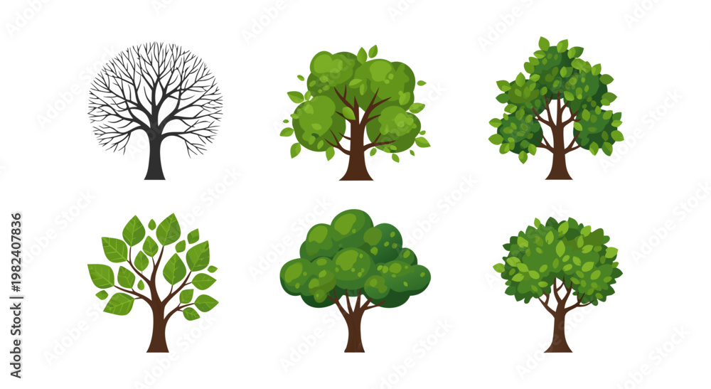 Fototapeta premium Tree Icon Set with Different Styles and Seasonal Variations Including Bare, Leafy and Full Green Trees in Flat Design for Nature and Landscape Projects