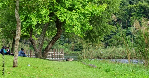 White geese strolling by Plum Blossom Lake, creating a harmonious and natural scene.