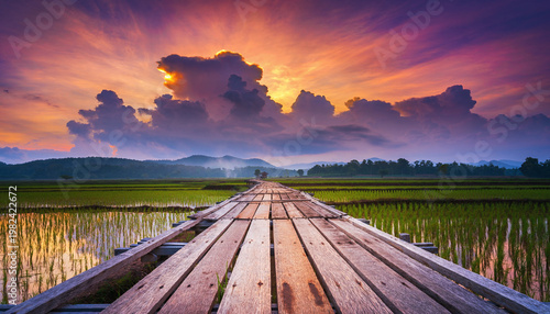 Empty Wooden Walkway Bridge Through Green Rice Paddy Field at Dramatic Purple and Orange Sunset Sky with Mountain Background, Contemplative Rural Landscape