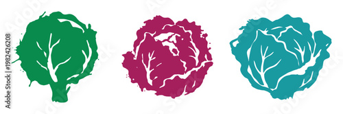 Green purple blue cabbage silhouettes isolated vector illustration