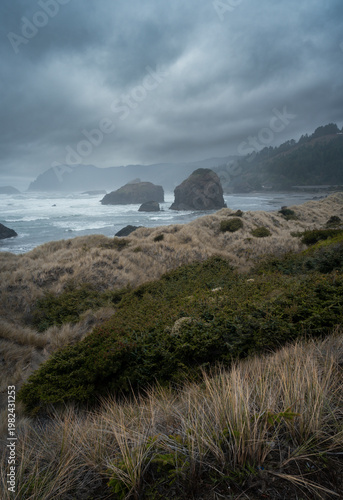 Oregon Coast landscape with sea stacks and dunes. 