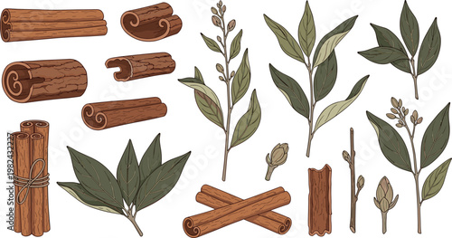 Cinnamon Spice and Botanical Set Featuring Dry Cinnamon Sticks, Bundles, and Green Leaves Isolated on White Background for Culinary and Herbal Design
